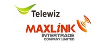 Logo_telewiz